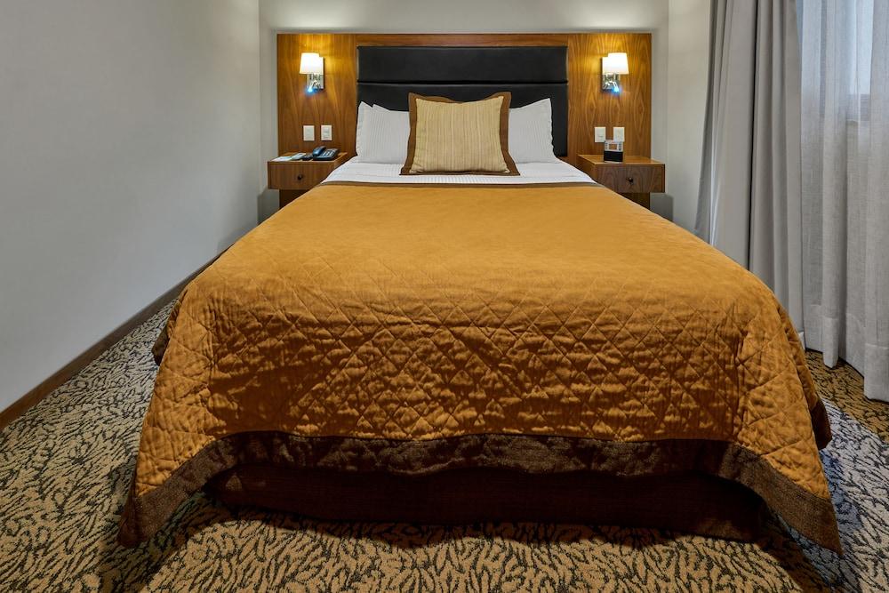 Wyndham Garden Mexico Reforma Otel Dış mekan fotoğraf