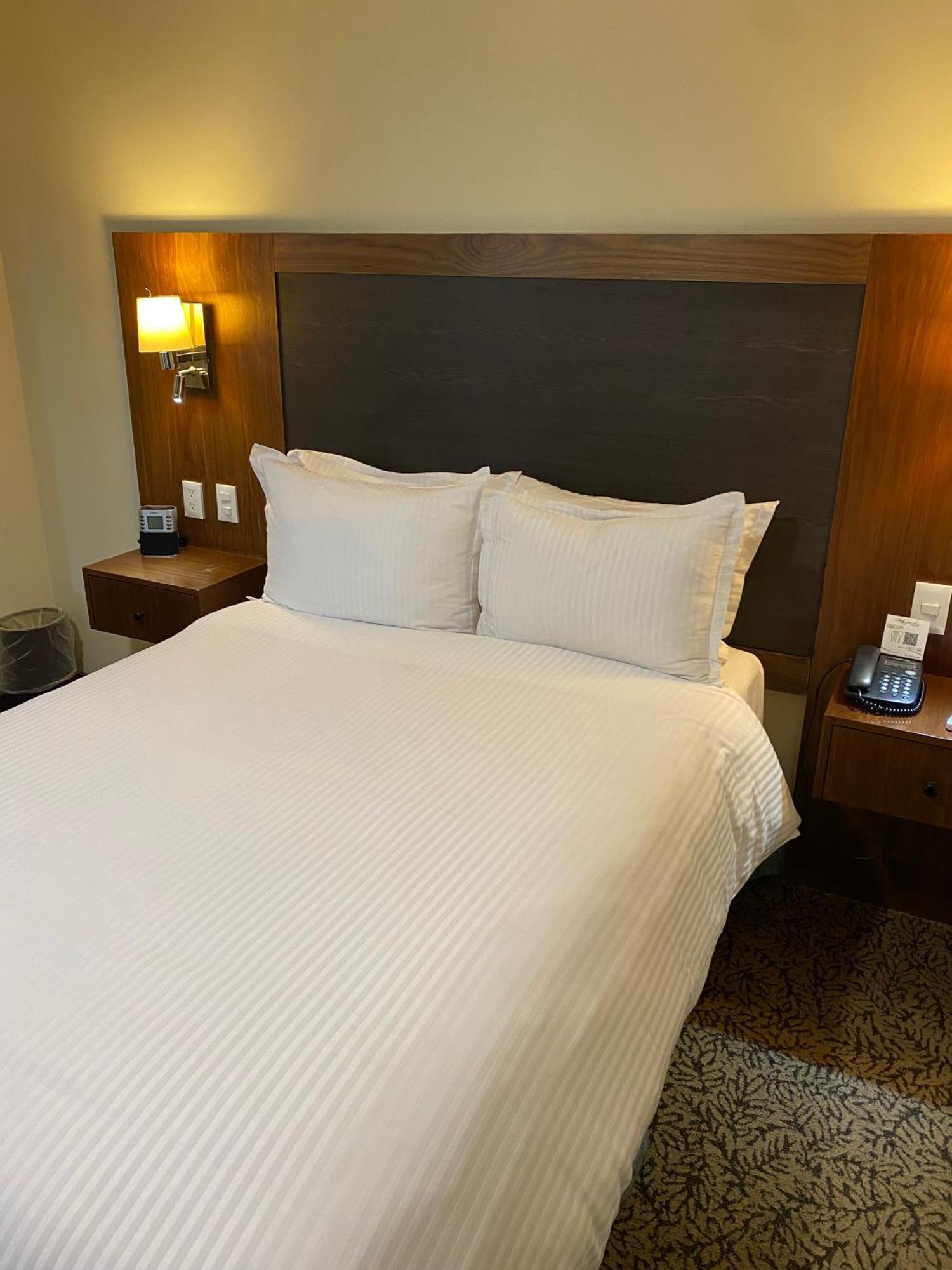 Wyndham Garden Mexico Reforma Otel Dış mekan fotoğraf